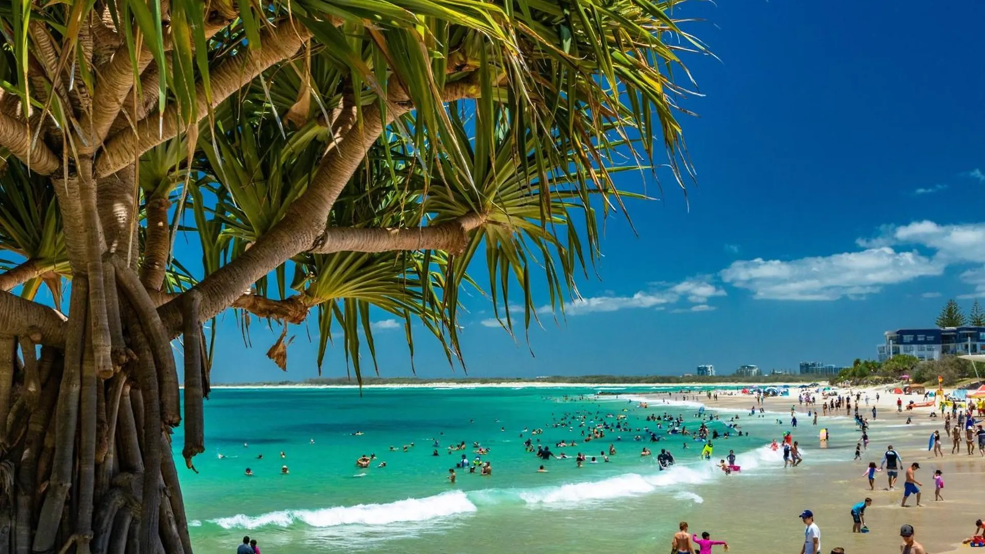 Bright 2-Bed Apartment With Stunning Ocean Views Caloundra